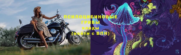 мяу мяу мука Алексеевка