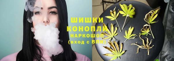 PSILOCYBIN Алексин