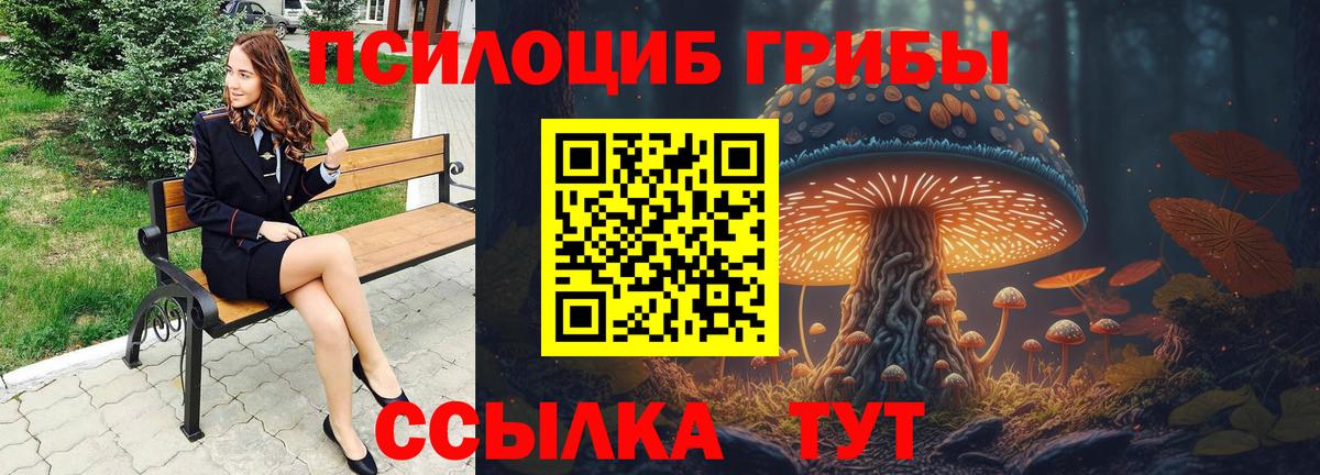 Галлюциногенные грибы мухоморы  Вход с VPN  Сосновоборск  Псилоцибиновые грибы мицелий 